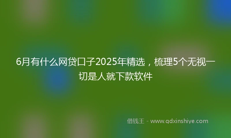 6月有什么网贷口子2025年精选，梳理5个无视一切是人就下款软件