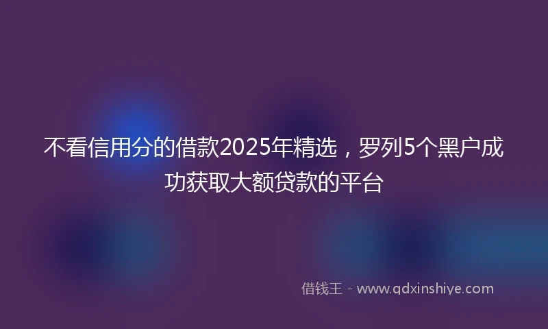 不看信用分的借款2025年精选，罗列5个黑户成功获取大额贷款的平台