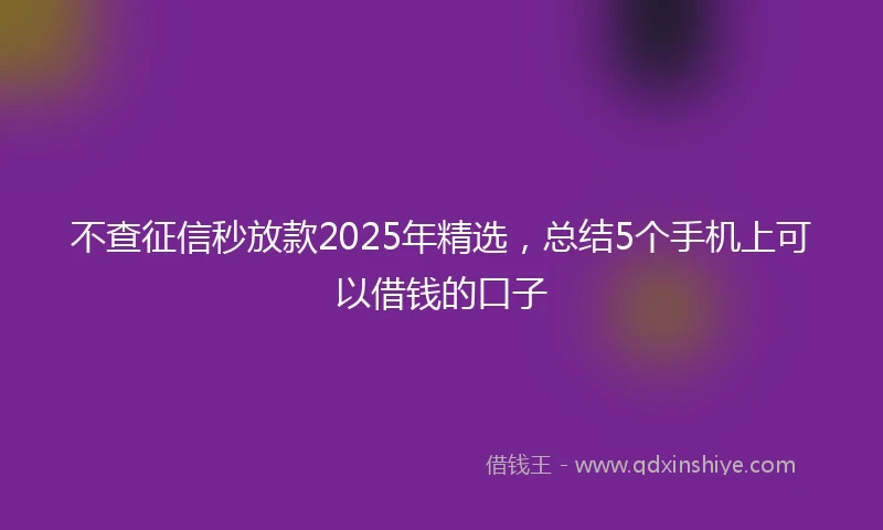 不查征信秒放款2025年精选，总结5个手机上可以借钱的口子