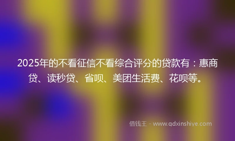 2025年的不看征信不看综合评分的贷款有：惠商贷、读秒贷、省呗、美团生活费、花呗等。