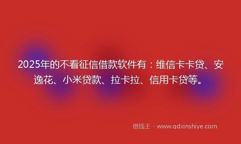 2025年的不看征信借款软件有：维信卡卡贷、安逸花、小米贷款、拉卡拉、信用卡贷等。