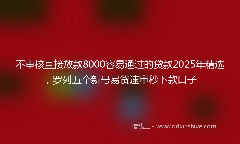 不审核直接放款8000容易通过的贷款2025年精选，罗列五个新号易贷速审秒下款口子