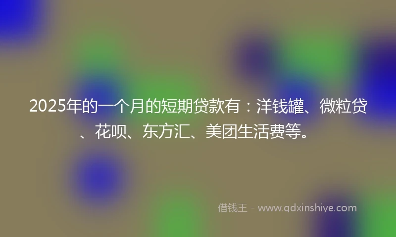 2025年的一个月的短期贷款有：洋钱罐、微粒贷、花呗、东方汇、美团生活费等。