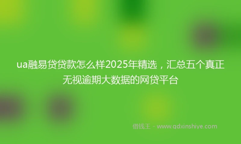 ua融易贷贷款怎么样2025年精选，汇总五个真正无视逾期大数据的网贷平台
