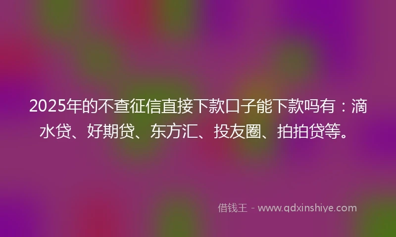2025年的不查征信直接下款口子能下款吗有：滴水贷、好期贷、东方汇、投友圈、拍拍贷等。