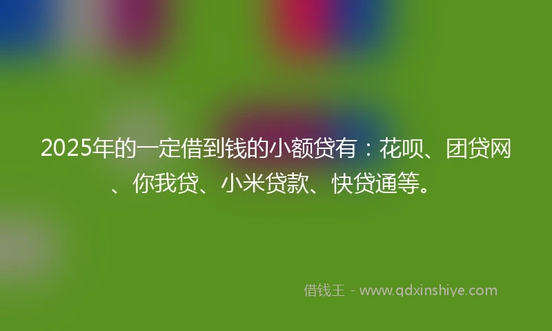2025年的一定借到钱的小额贷有：花呗、团贷网、你我贷、小米贷款、快贷通等。