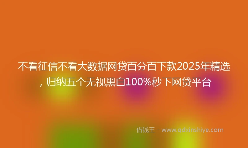 不看征信不看大数据网贷百分百下款2025年精选，归纳五个无视黑白100%秒下网贷平台