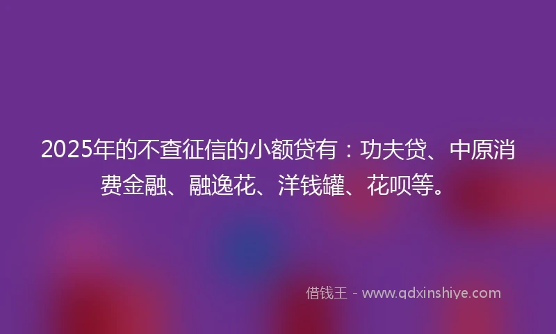 2025年的不查征信的小额贷有：功夫贷、中原消费金融、融逸花、洋钱罐、花呗等。