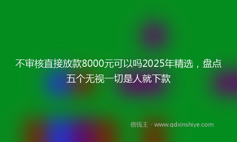 不审核直接放款8000元可以吗2025年精选，盘点五个无视一切是人就下款
