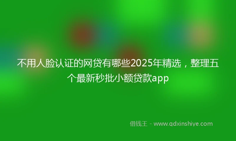 不用人脸认证的网贷有哪些2025年精选，整理五个最新秒批小额贷款app