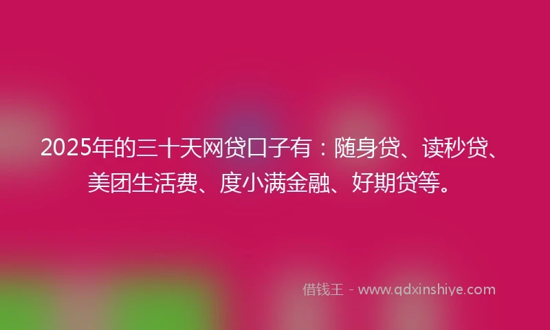 2025年的三十天网贷口子有：随身贷、读秒贷、美团生活费、度小满金融、好期贷等。