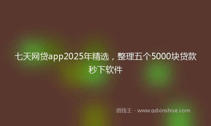 七天网贷app2025年精选，整理五个5000块贷款秒下软件