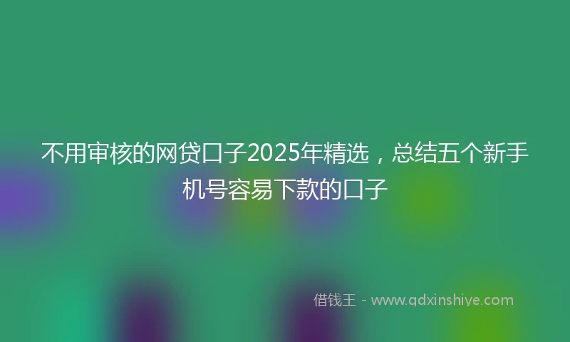 不用审核的网贷口子2025年精选，总结五个新手机号容易下款的口子