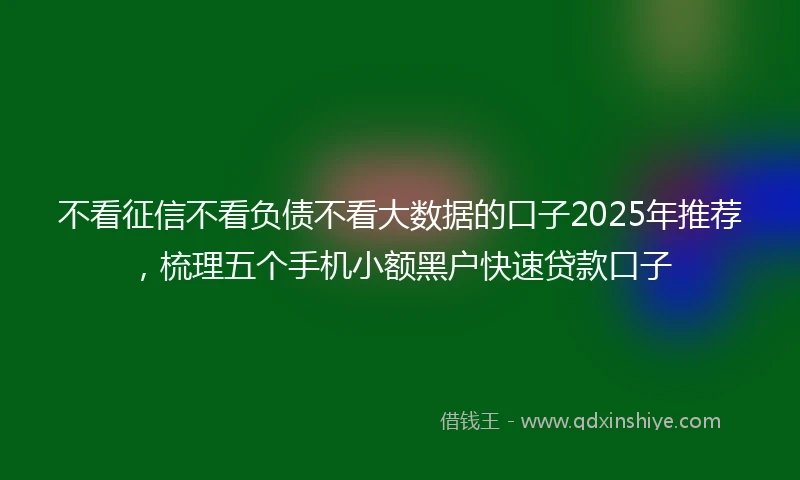不看征信不看负债不看大数据的口子2025年推荐，梳理五个手机小额黑户快速贷款口子