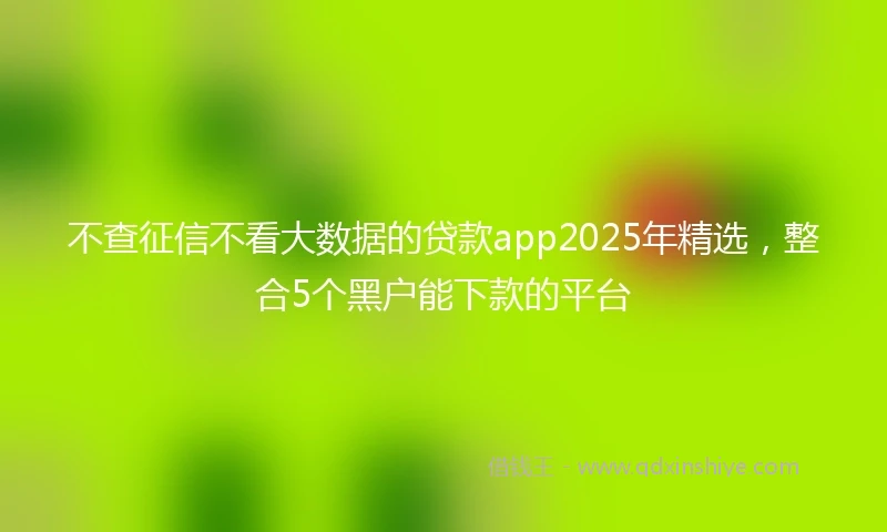 不查征信不看大数据的贷款app2025年精选，整合5个黑户能下款的平台