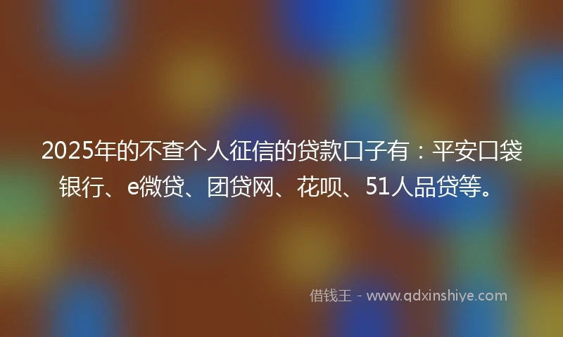 2025年的不查个人征信的贷款口子有：平安口袋银行、e微贷、团贷网、花呗、51人品贷等。