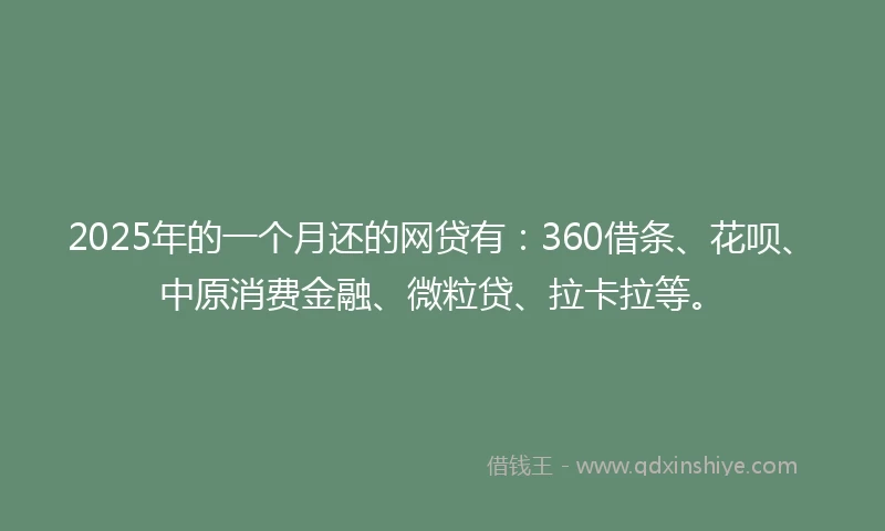 2025年的一个月还的网贷有：360借条、花呗、中原消费金融、微粒贷、拉卡拉等。