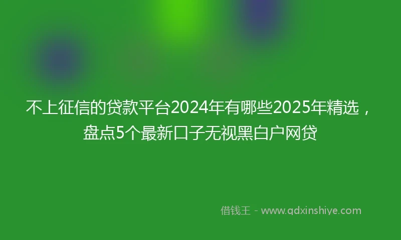 不上征信的贷款平台2024年有哪些2025年精选，盘点5个最新口子无视黑白户网贷