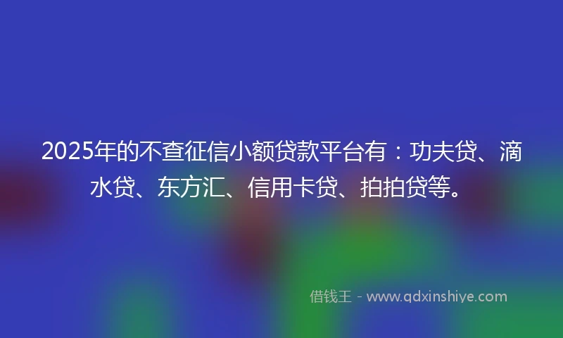 2025年的不查征信小额贷款平台有:功夫贷、滴水贷、东方汇、信用卡贷、拍拍贷等。