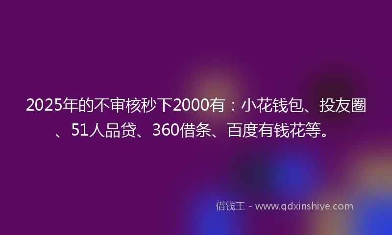 2025年的不审核秒下2000有：小花钱包、投友圈、51人品贷、360借条、百度有钱花等。