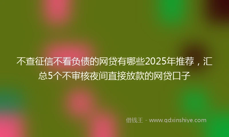 不查征信不看负债的网贷有哪些2025年推荐,汇总5个不审核夜间直接放款的网贷口子