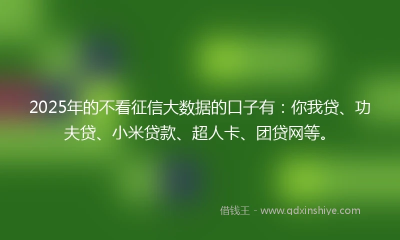 2025年的不看征信大数据的口子有：你我贷、功夫贷、小米贷款、超人卡、团贷网等。
