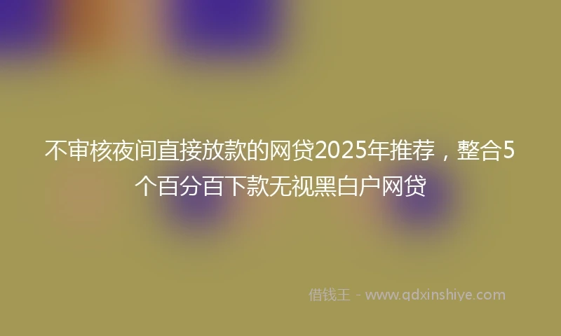 不审核夜间直接放款的网贷2025年推荐，整合5个百分百下款无视黑白户网贷