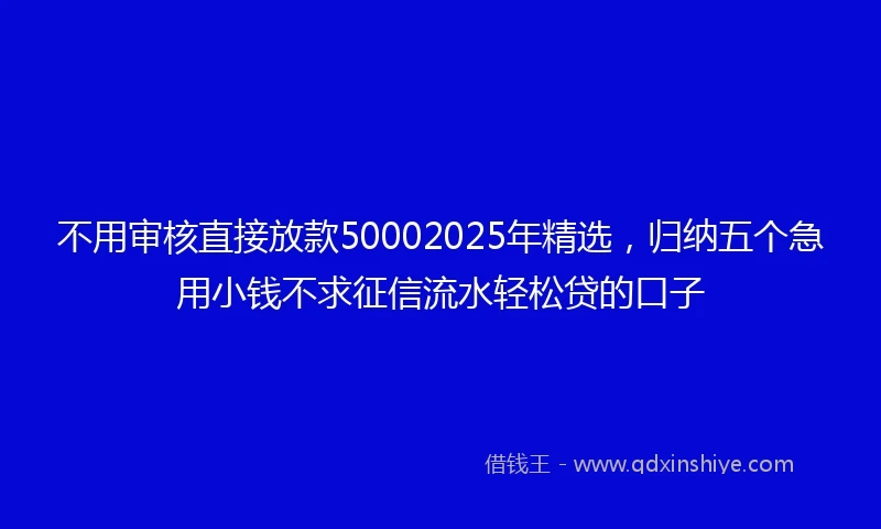 不用审核直接放款50002025年精选，归纳五个急用小钱不求征信流水轻松贷的口子