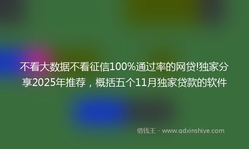 不看大数据不看征信100%通过率的网贷!独家分享2025年推荐，概括五个11月独家贷款的软件