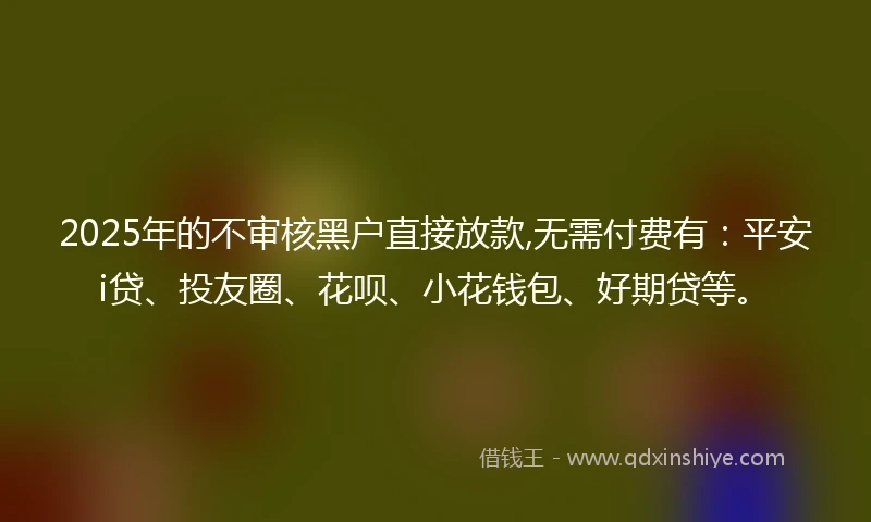 2025年的不审核黑户直接放款,无需付费有：平安i贷、投友圈、花呗、小花钱包、好期贷等。
