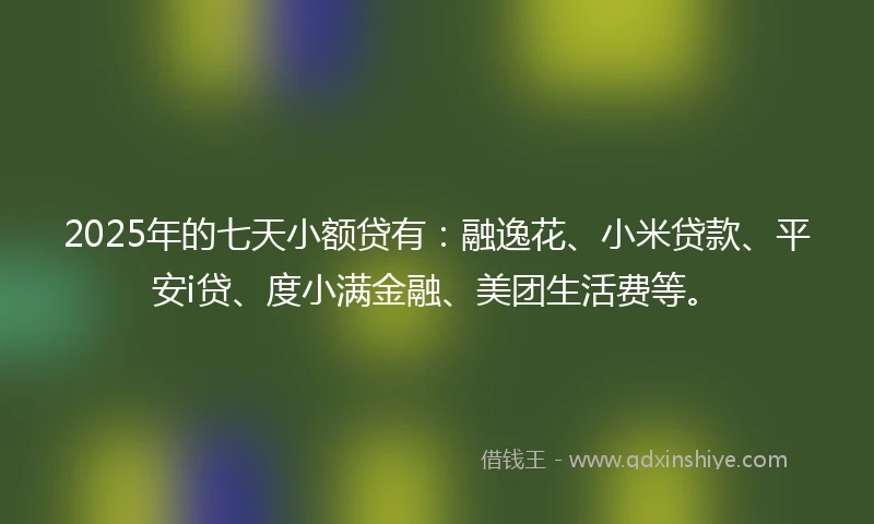 2025年的七天小额贷有：融逸花、小米贷款、平安i贷、度小满金融、美团生活费等。