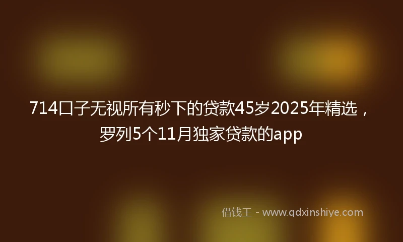 714口子无视所有秒下的贷款45岁2025年精选，罗列5个11月独家贷款的app