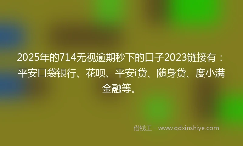 2025年的714无视逾期秒下的口子2023链接有：平安口袋银行、花呗、平安i贷、随身贷、度小满金融等。