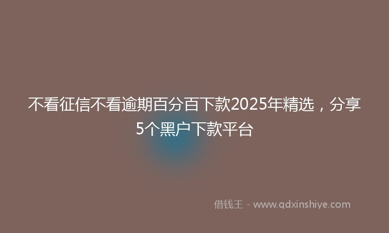 不看征信不看逾期百分百下款2025年精选,分享5个黑户下款平台