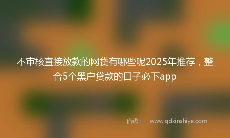 不审核直接放款的网贷有哪些呢2025年推荐，整合5个黑户贷款的口子必下app