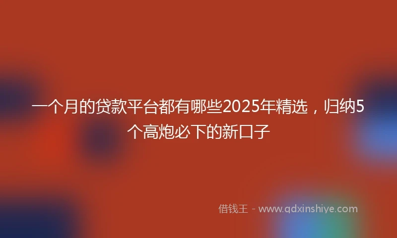 一个月的贷款平台都有哪些2025年精选，归纳5个高炮必下的新口子