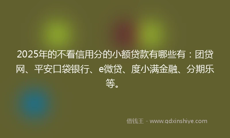 2025年的不看信用分的小额贷款有哪些有：团贷网、平安口袋银行、e微贷、度小满金融、分期乐等。