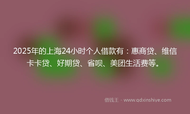 2025年的上海24小时个人借款有:惠商贷、维信卡卡贷、好期贷、省呗、美团生活费等。