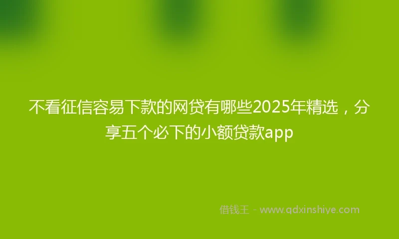 不看征信容易下款的网贷有哪些2025年精选，分享五个必下的小额贷款app