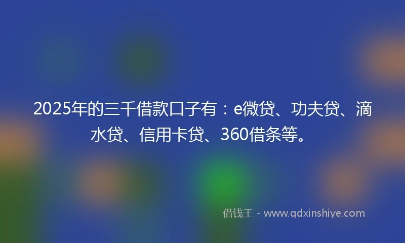 2025年的三千借款口子有：e微贷、功夫贷、滴水贷、信用卡贷、360借条等。