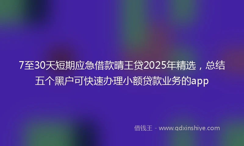 7至30天短期应急借款晴王贷2025年精选，总结五个黑户可快速办理小额贷款业务的app
