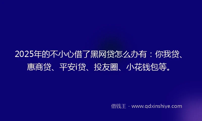 2025年的不小心借了黑网贷怎么办有：你我贷、惠商贷、平安i贷、投友圈、小花钱包等。