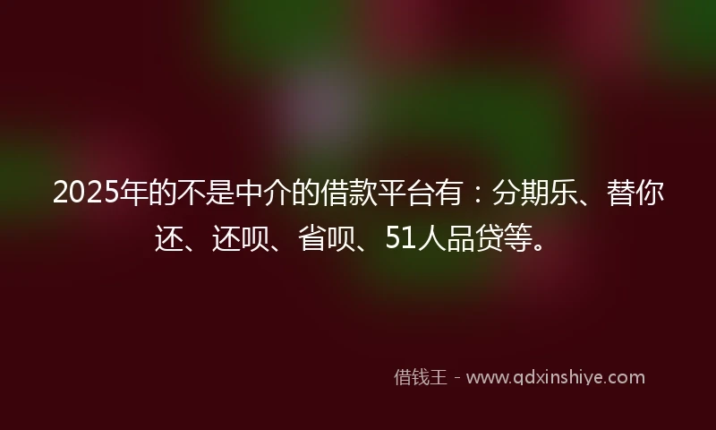 2025年的不是中介的借款平台有：分期乐、替你还、还呗、省呗、51人品贷等。