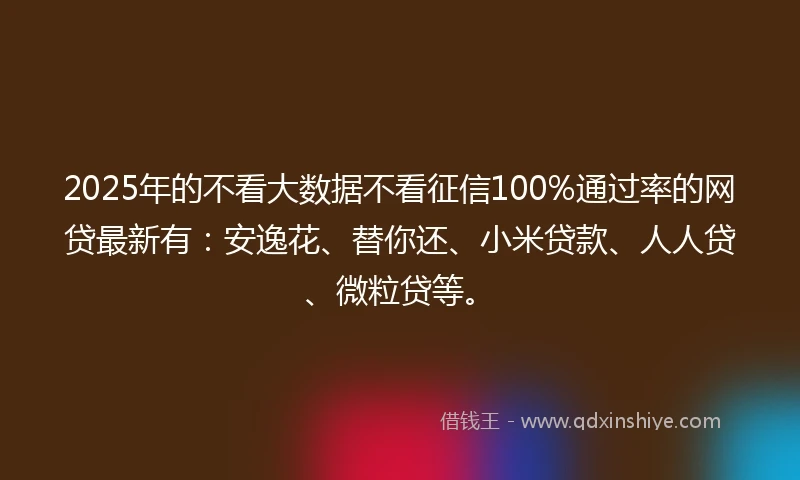 2025年的不看大数据不看征信100%通过率的网贷最新有：安逸花、替你还、小米贷款、人人贷、微粒贷等。