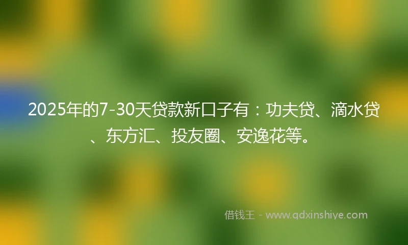 2025年的7-30天贷款新口子有：功夫贷、滴水贷、东方汇、投友圈、安逸花等。