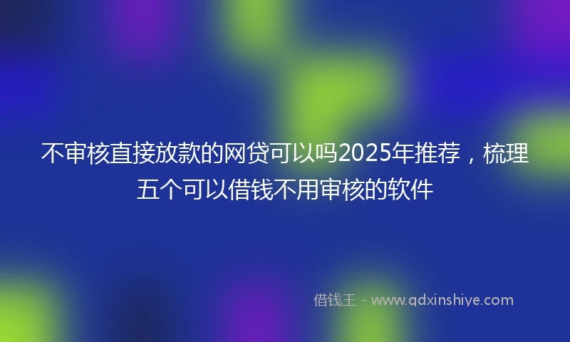 不审核直接放款的网贷可以吗2025年推荐，梳理五个可以借钱不用审核的软件