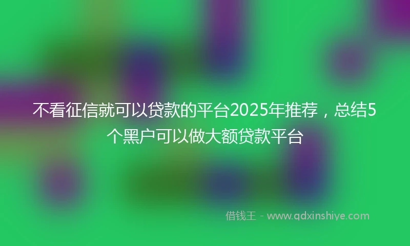 不看征信就可以贷款的平台2025年推荐，总结5个黑户可以做大额贷款平台