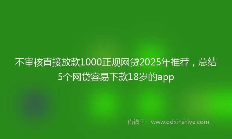 不审核直接放款1000正规网贷2025年推荐，总结5个网贷容易下款18岁的app