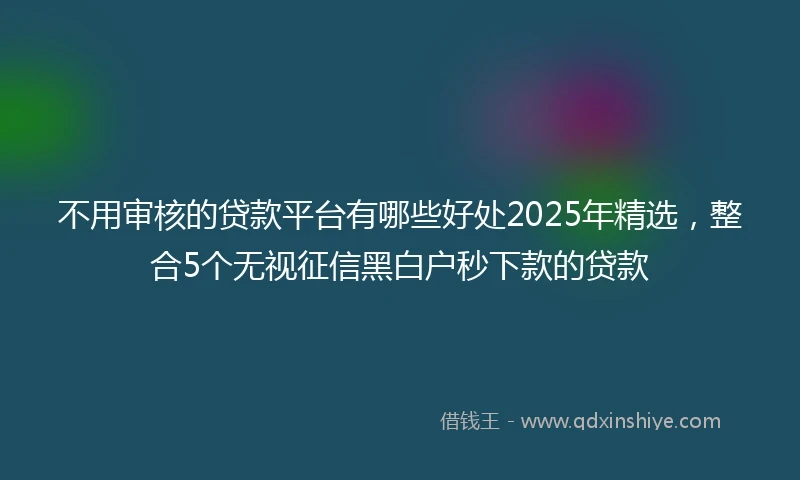 不用审核的贷款平台有哪些好处2025年精选，整合5个无视征信黑白户秒下款的贷款
