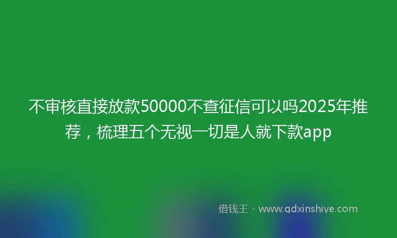 不审核直接放款50000不查征信可以吗2025年推荐，梳理五个无视一切是人就下款app